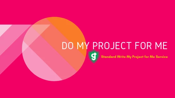 do-my-project-for-me